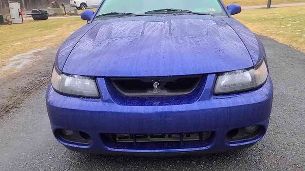 The Terminator Lives | 600+ HP Supercharged Mustang SVT Cobra