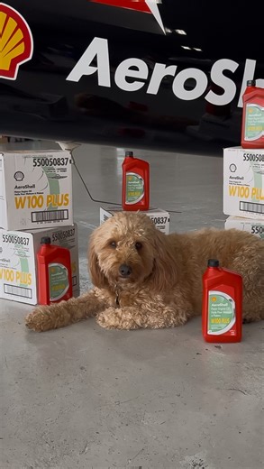 Rob Holland Aerosports on Instagram: "AeroShell has been one of the few constants in my 33 year aviation career. …Now if I could just figure out who did my oil change?!?! . . . . . . . #robholland #flygooddontsuck #aviation #aviationlovers #aviationlover #aviationgeeks #aviationgeek #avlovers #avgeeks #avlover #avgeek #airshow #airshows #aerobatics #aviationphotography #pilot #pilotlife #whyifly #ifly #flying #fly #inverted #formation #flyinverted #flygooddontsuck #fgds #rhaerosports #robholland