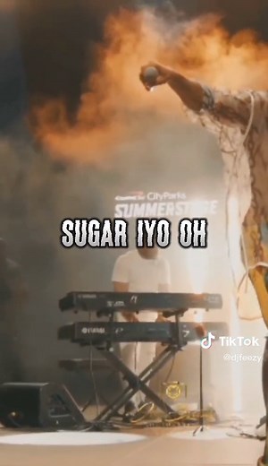 Flavour - Ada Ada | Afrobeat Song | Live Performance