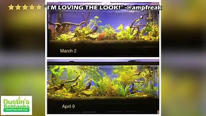 20K views · 18 reactions | ⭐️⭐️⭐️⭐️⭐️ ALL Customers Tanks. ALL Our...