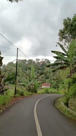 Walking along a West Javanese village road | Rice field view, soundfyp #naturelovers