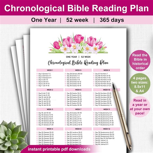 Chronological Bible Reading Plan: One Year Tracker (digital Download) - Etsy