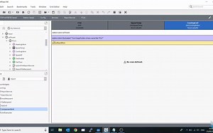 HOW TO_使用 N4 报告服务