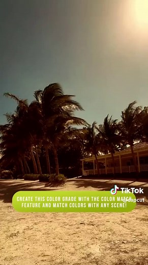 Create Stunning Looks with CapCut's Color Match Feature