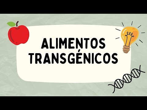 What are genetically modified foods? 🌽 | Examples, benefits, and risks explained easily