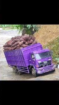 #shortvideo #foryou #rimotcontrol #carshorts