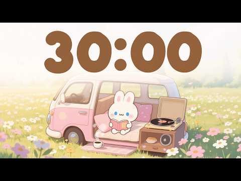 Focus Study Timer 🎵 | 30 Minute Focus for Study & Work