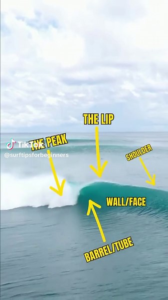 Wave Analysis: Expert Tips and Tricks for Surfing Beginners