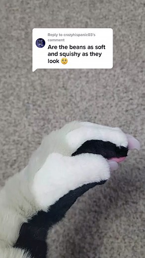 Exploring Squishy Beans with Neffertity Fursuits