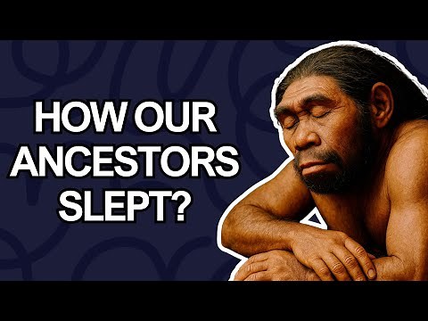 History Of Sleep in Million years