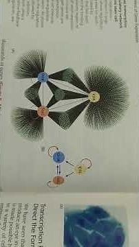 Essential Cell Biology Book Unboxing and Revie|Best Cell Biology books|Best Biomolecular biology