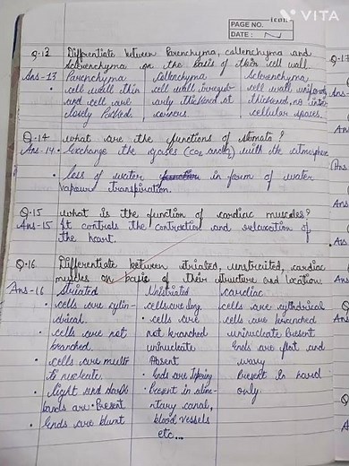 class 9th science chapter 6 || tissues || important questions || hand made notes