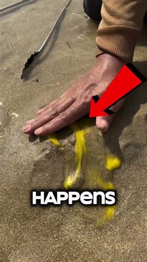 He Cracked an Egg on the Beach… Then This Happened 😳
