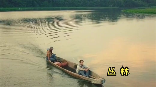 ②小伙被困原始森林，靠一群火蚁活了下来，真实事件改编《丛林》