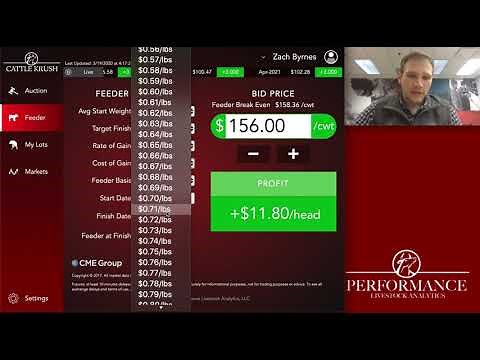Live Demo: Mitigate Risk with Cattle Krush
