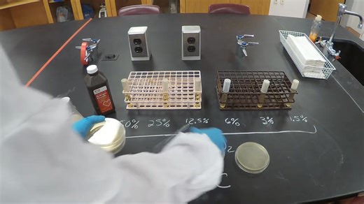 Microbiology:MIC❤️🔬❤️ #bacteriology #lablife #microbiology | Lab life