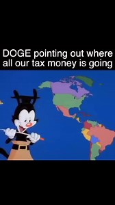 #doge | Common Sense Soapbox