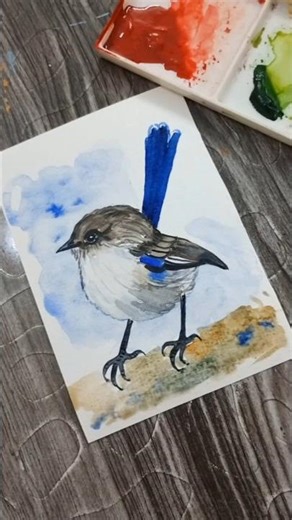 watercolor Fairywren Bird painting 🐦#watercolorpainting #watercolortutorial #birdlovers #ytshorts