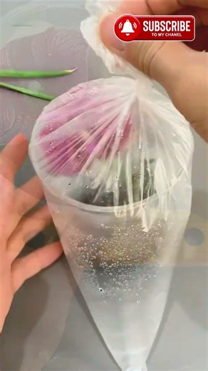 Orchid propagation using coffee grounds ☕ #shorts #orchidpropagation