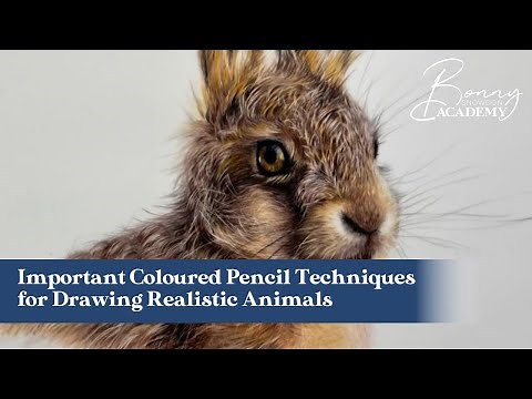 Important Coloured Pencil Techniques for Drawing Realistic Animals