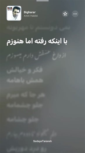 ‎Sedaye Taraneh | صدای ترانه‎ on Instagram: "Amin Habibi - Bigharar | Official Audio"