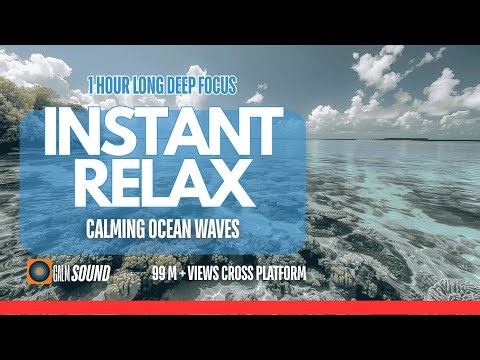1 Hour Stone Beach Waves ASMR | Anxiety Relief & Peace