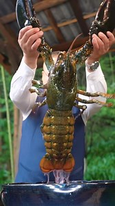 333K views · 5.2K reactions | New Food with Unique Cooking Style  | ﻿Trending | Facebook