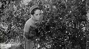 The Old Swimmin' Hole 1940