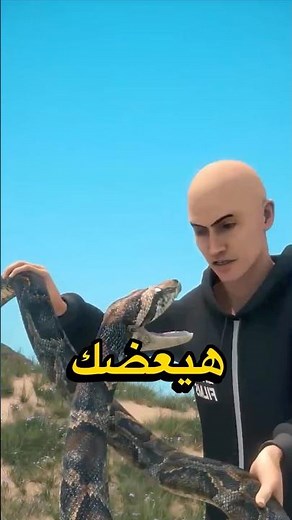 How to catch a snake without getting hurt? 🤯‼️