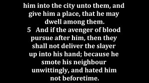 Joshua 20 King James version