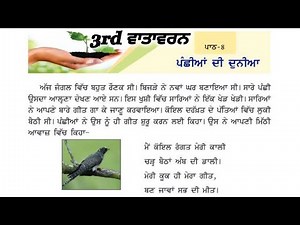 3rd class evs| Lesson 8 | ਪੰਛੀਆਂ ਦੀ ਦੁਨੀਆਂ | 3rd Vatavaran chapter 8