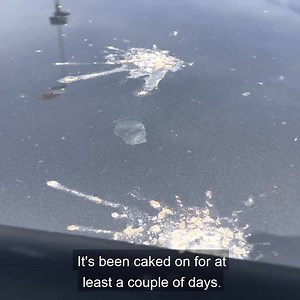 ‘I’m at the car wash. I don’t even need to go to the car wash.’ If your car is coated with F11 then bird mess, pollen, dirt, bugs or anything else will wipe right off. Try it! | MAXL