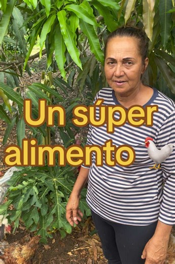 Esta planta es tan potente que tiene la capacidad de competir con muchos alimentos de marca 😱