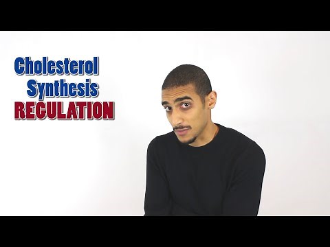 Cholesterol regulation شرح بالعربي