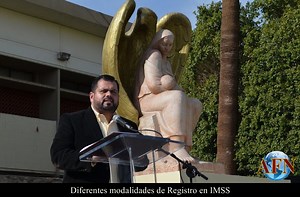 Diferentes modalidades de Registro en IMSS