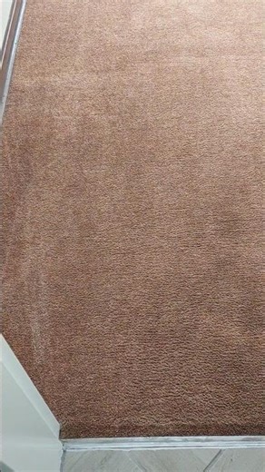 $20,000 Rug Found in a Trash Bag – Watch the Full Restoration - Carpet Cleaning ASMR