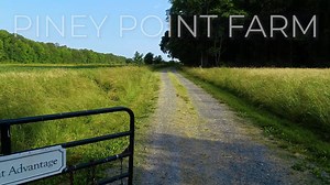 Piney Point Farm | Oxford Maryland Property For Sale
