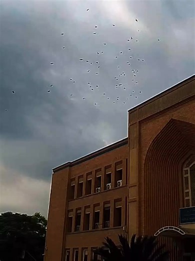 capture a beautiful view click from Android#✨🦋 #iiui #iiui_islamabad💕 #iiuitiktok #CapCut