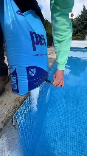 Why Hotel Pools Never Change Their Water 😱