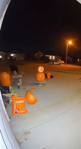 Dont scare bear 🎃 | Think Logic Recording