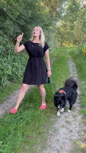 Warum wir unseren Hund aus Respekt anleinen 🐶
