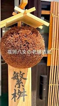 福岡八女の銘酒繁桝 会員限定の蔵元見学！繁桝最高♩