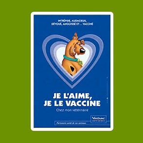 Certificat vétérinaire, carnet de vaccination, passeport du chien - Catedog