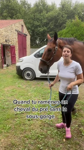 Ponycorn le blog sur TikTok