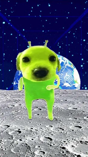 I am not an alien 👾