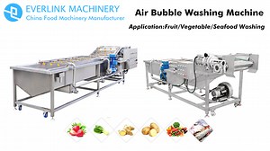 Air Bubble Washing Machine-Application For Vegetable/Fruit/Seafood