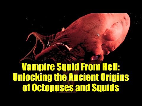 Vampire Squid From Hell: Unlocking the Ancient Origins of Octopuses and Squids