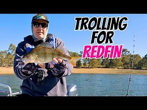 Trolling for Redfin Perch