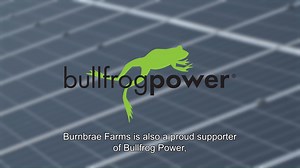 💡Today is ‘Cut Your Energy Costs Day’ which is something that Burnbrae Farms tries to achieve everyday. Our company is committed to reducing energy use and lowering our carbon footprint across our business. Our important partnership with Bullfrog Power is one of the ways that we reduce our energy consumption. Click the link to learn more about our comprehensive efforts: https://bit.ly/3HER8ZT | Burnbrae Farms