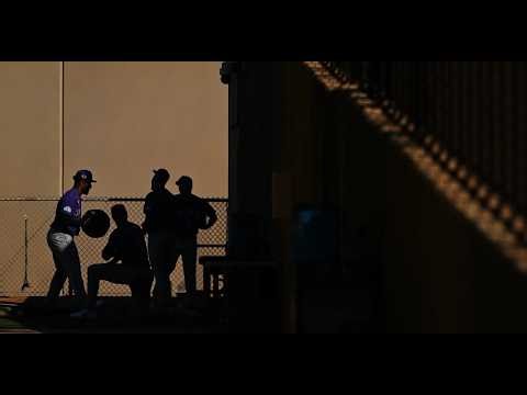 Unveiling the Science Behind Baseball Performance: An Exclusive Interview with Brandon Stone